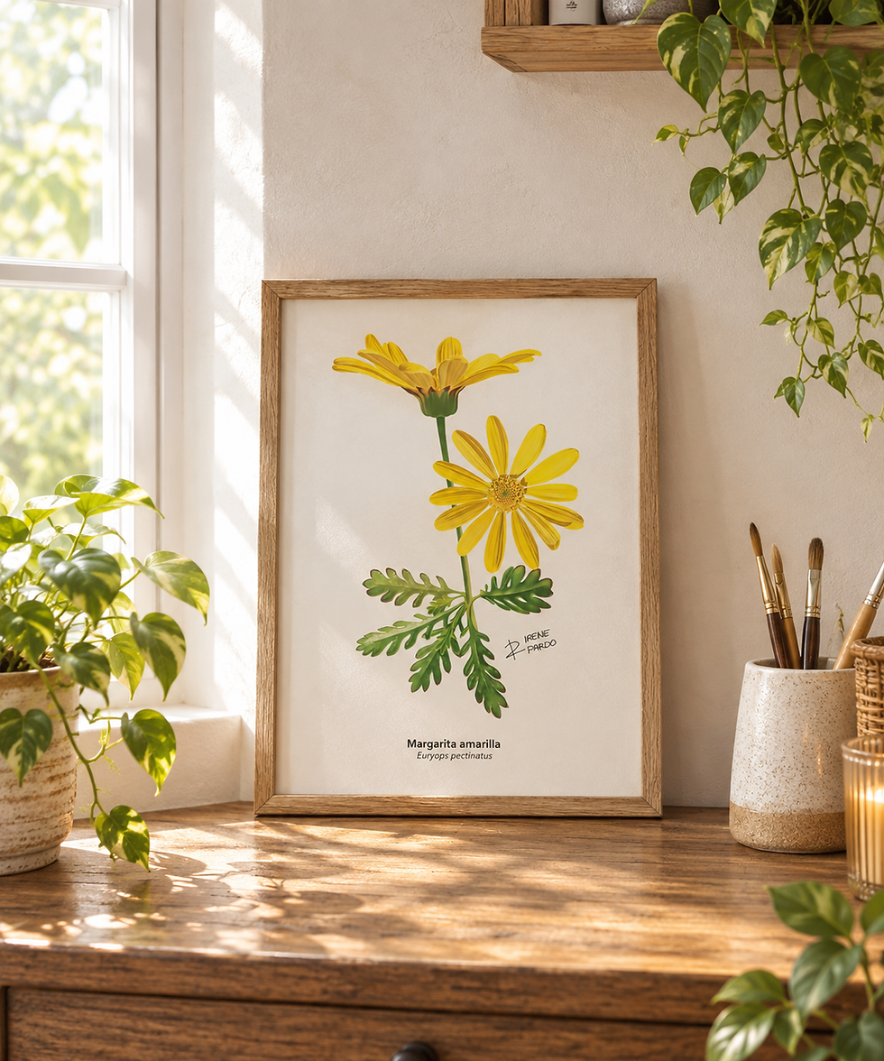 Lámina ilustrada