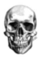 Ilustración de una calavera