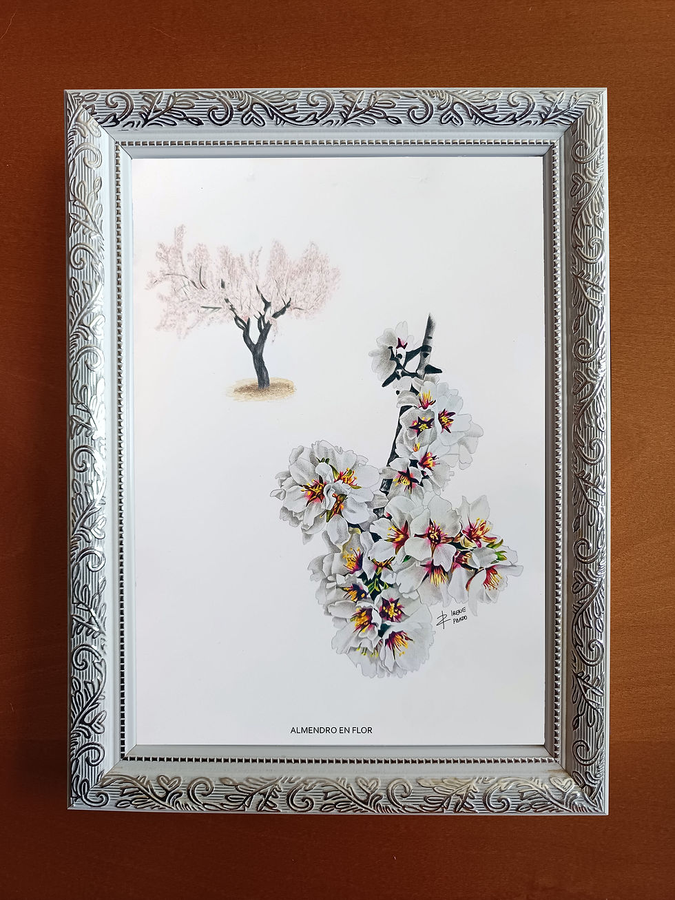 Imagen de una lámina de Almendro en flor