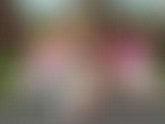 The Wee Village Newsletter Play Space Parties Newtownabbey Kids Spring 26