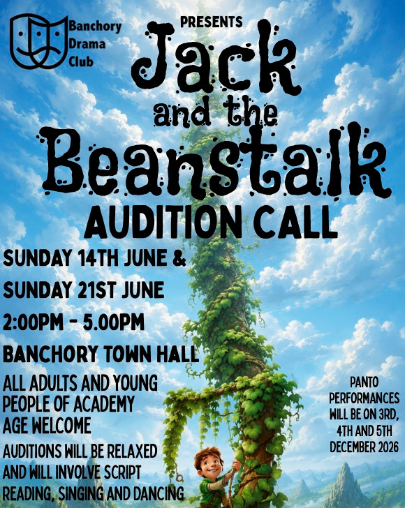 Audition Poster panto 2026 .jpg