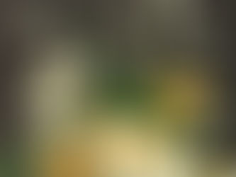 3D Floral Art on brown background with cream flowers