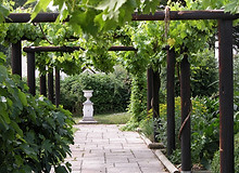 fishbourne_roman_palace_garden_1223_jpg_original.jpg