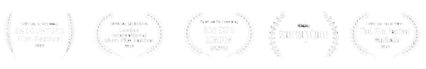 Martin Gooch Film Laurels and Awards