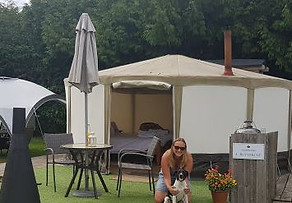 yurt and dog.JPG