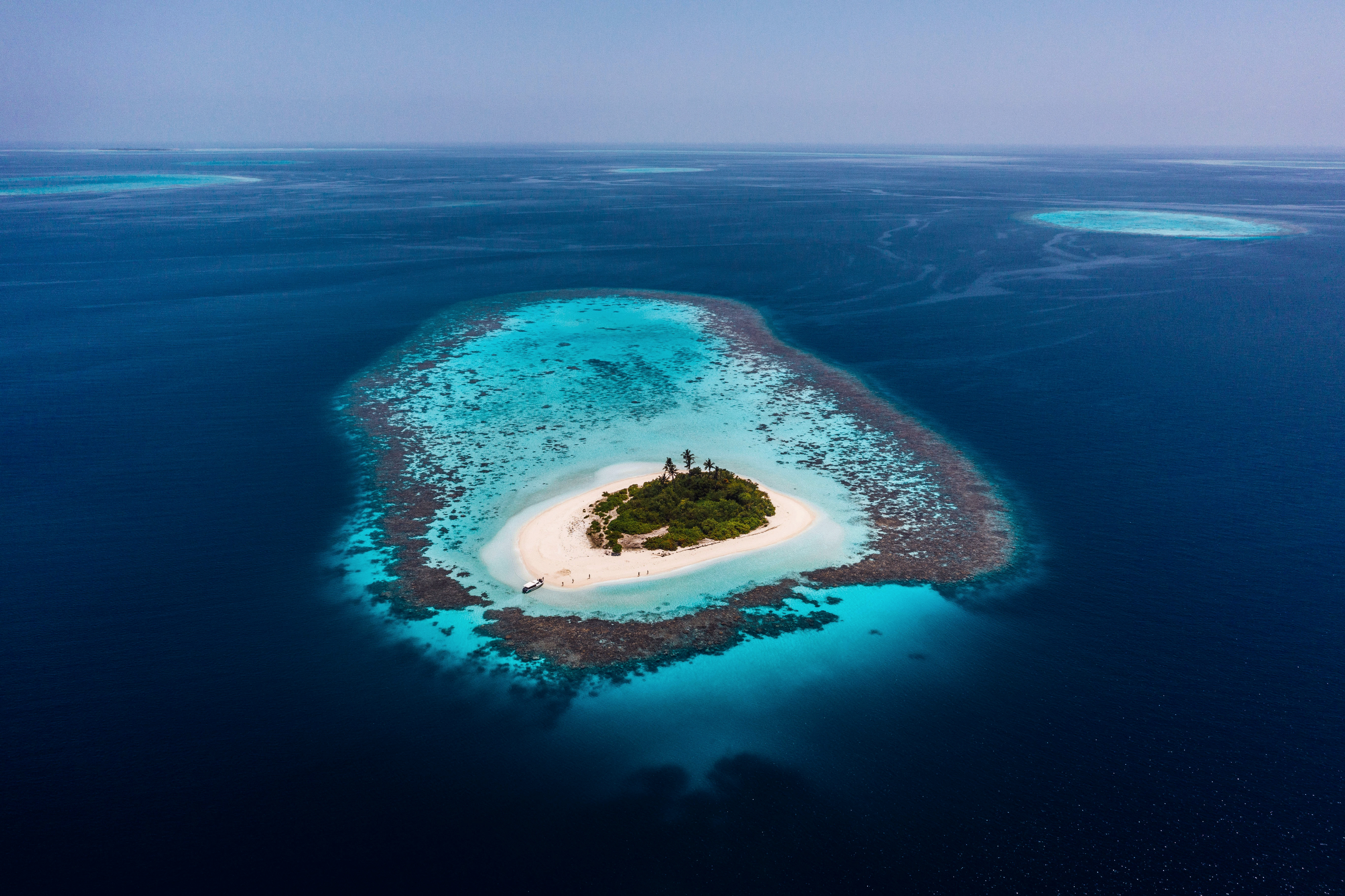 Clemence Photic MKII Swiss Edition official announcement gallery photograph of the Atoll Blue dive watch.