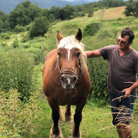 Domaine Rouchier: A Return to the Wild Heart of Syrah
