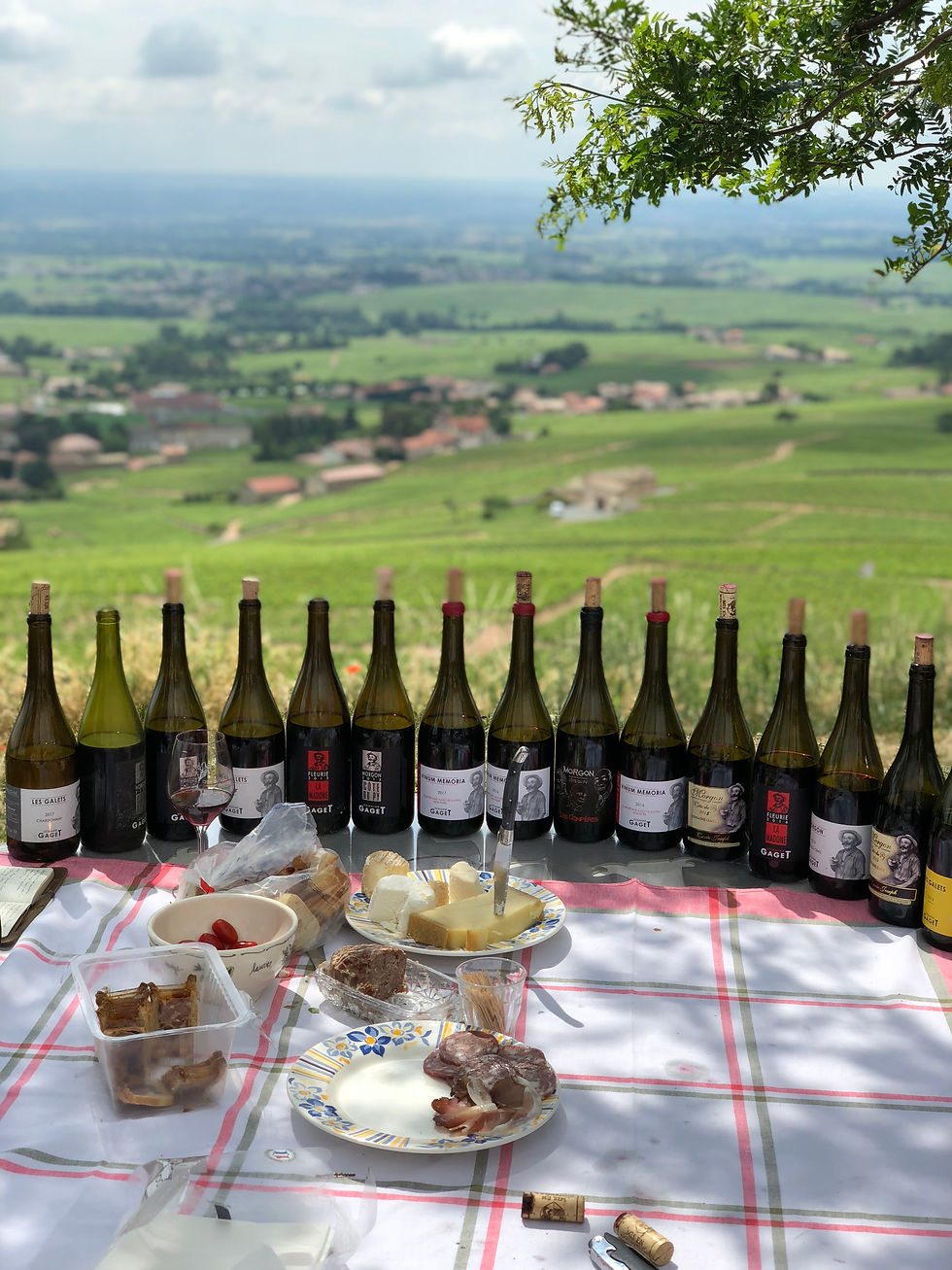 Tasting at the top of Fleurie in Beaujolais