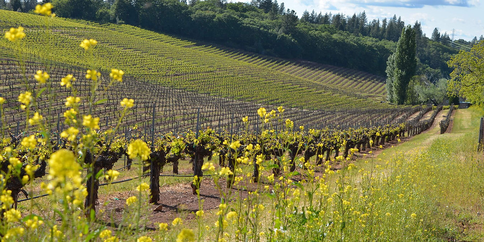 Terre Rouge & Easton Wine Tasting