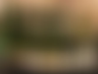 Wines at Domaine Dupasquier