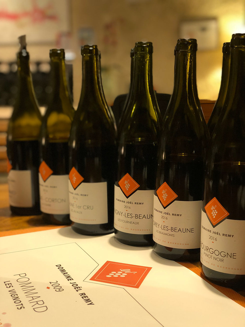Burgundy tasting at Domaine Joël Remy