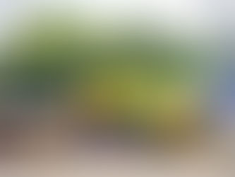 Revitalising Nui Ngu hotpot restaurant: 25% YOY Profit Growth through Smart Strategy & Localised Marketing