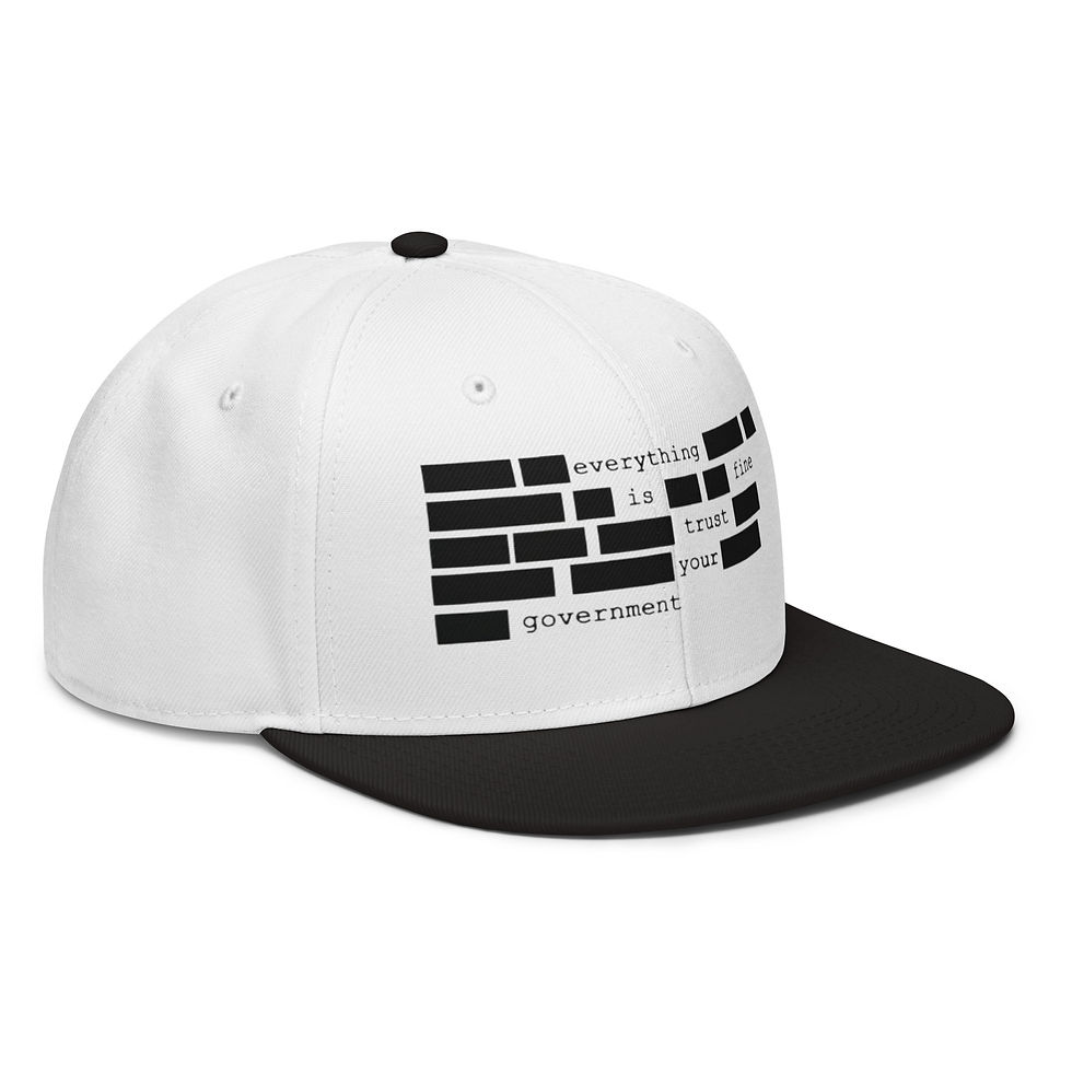 Thumbnail: Redacted Snapback Hat