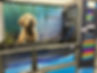 Image-55.jpeg