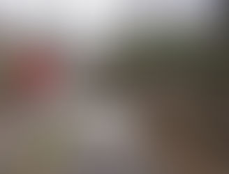 I accidentally bought a farm at 3:00 a.m.