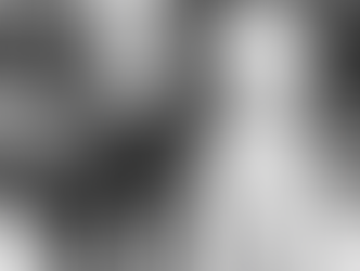 The Family Who Loved This Land Before Us