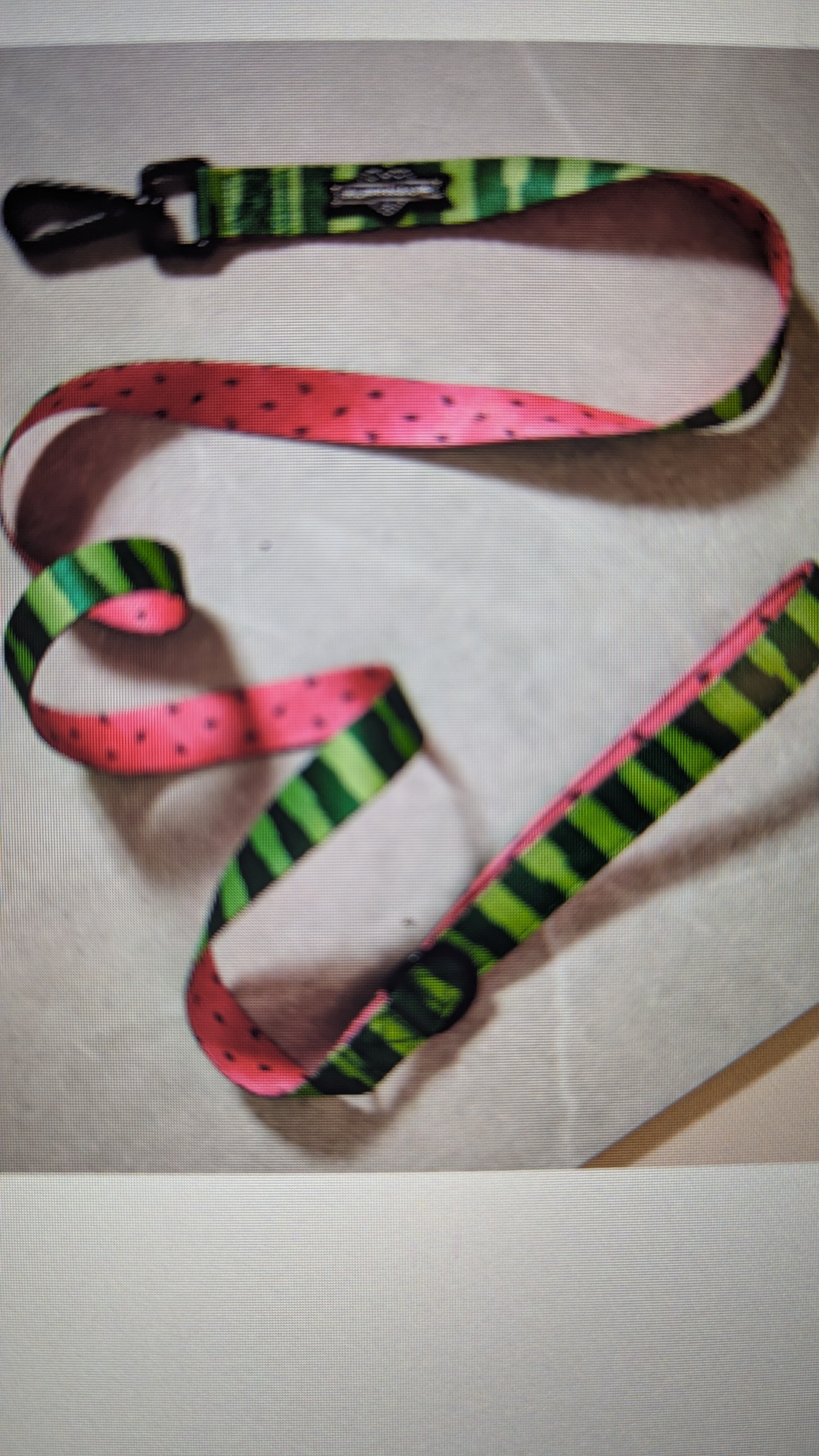 What-A-Melon Dog Leash