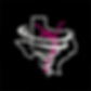 GSCLOGOSHOE.jpg