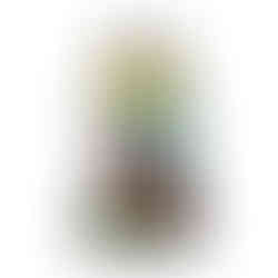 Front of Dragon Lady Dress (black)