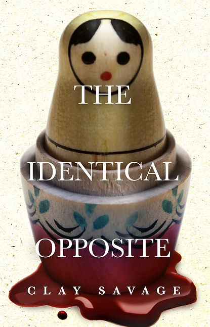The Identical Opposite - eBook.jpg
