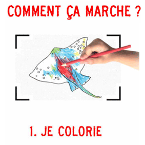 Comment-ca-marche.gif