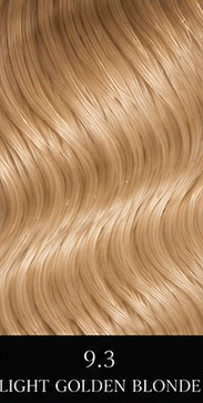 9.3 Light Golden Blonde 