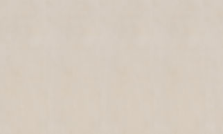 fundo2.jpg