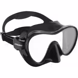 Masque F1