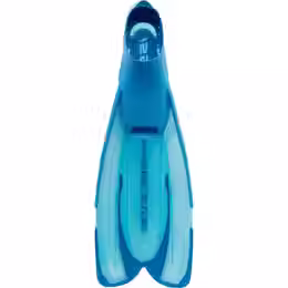 Miniatura: Palmes Agua