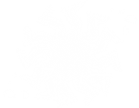 Crazed Detonation