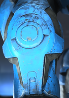 Warrior's Seal Wrist