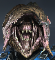 Depthless Messenger Helmet Attachment