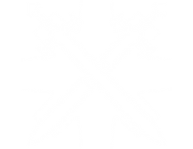Crossed Swords