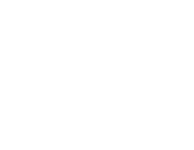 Voice of Authority