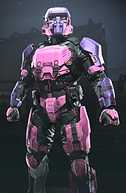 Sakura Breeze Armor Coating