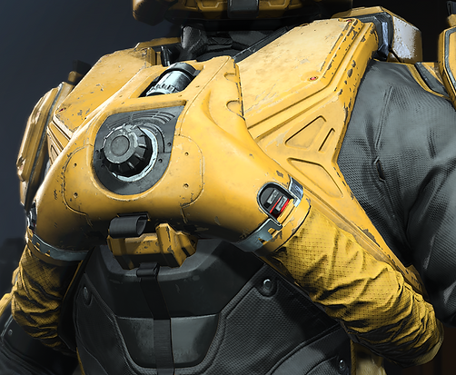 LIFEGUARD SWT-PRO Chest