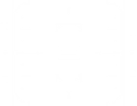 Wasp Lock