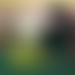 Be the Role Model of Your Children