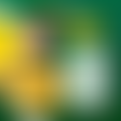 105 Kerusi Tumpuan di Parlimen Tadika Brainy Bunch 