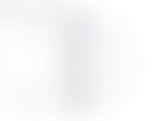 120lbs State Preview and Viewer's Guide