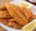 CATFISH (4)