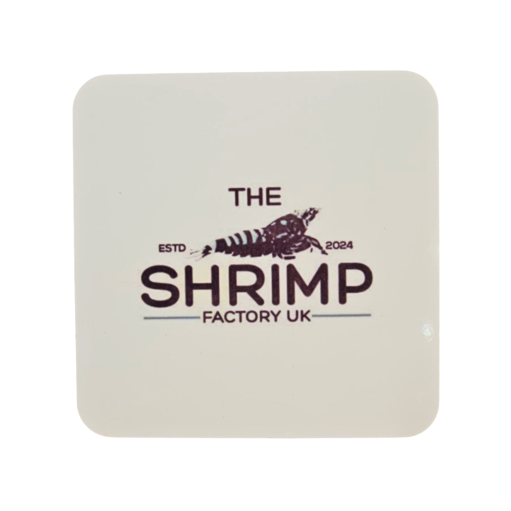 The Shrimp Factory UK Coaster