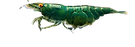 Green Demon