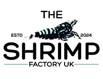 The Shrimp Factory UK