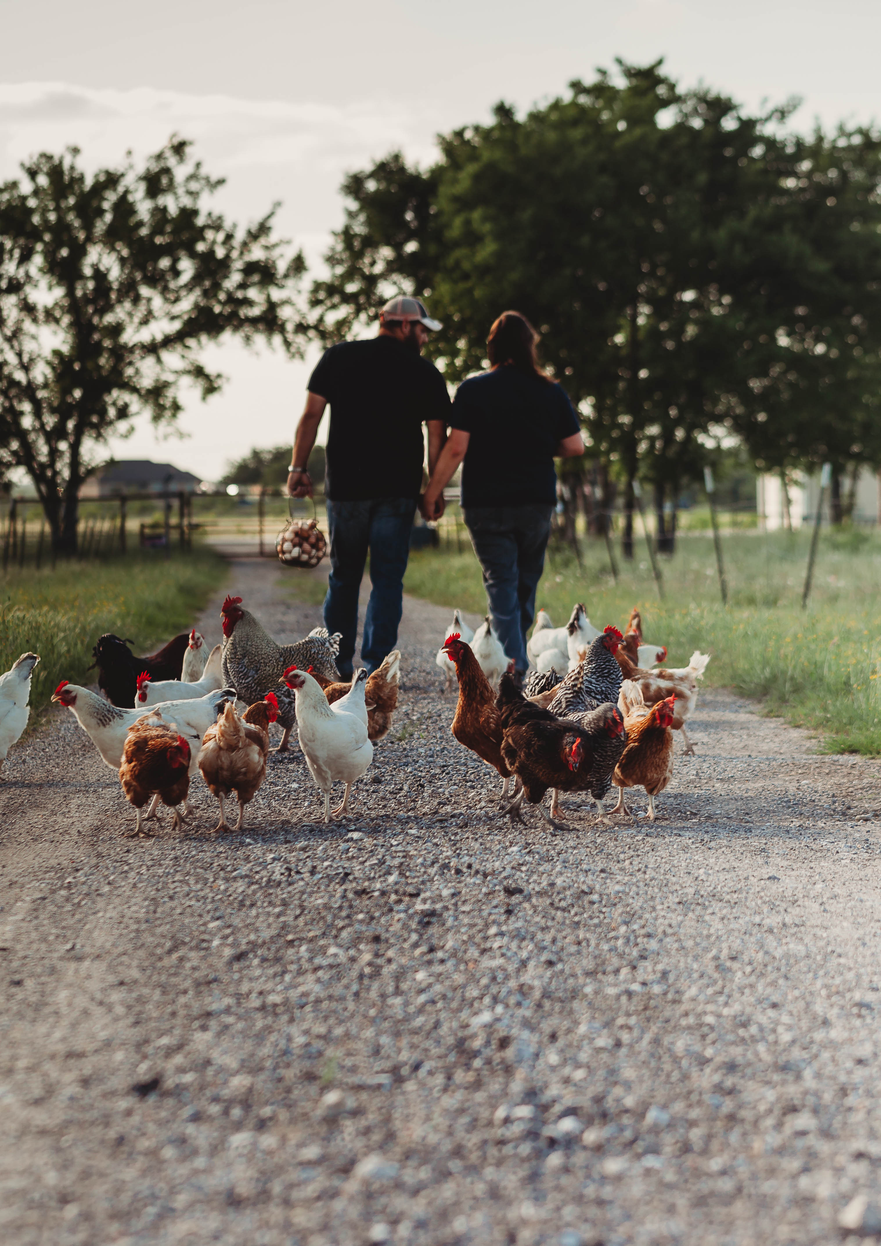 Local Farms Near Me | Kaufman | Gober Grass Fed Farms