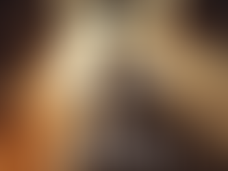 a modern Florida living room at midday, with sunlit hardwood plus a cozy wool rug partially overlapping. A homeowner’s bare feet are stepping from the rug onto the wood. Light and shadow emphasize texture transition.