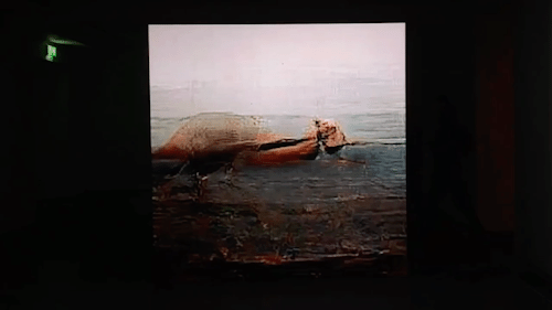 JYQF5656.GIF