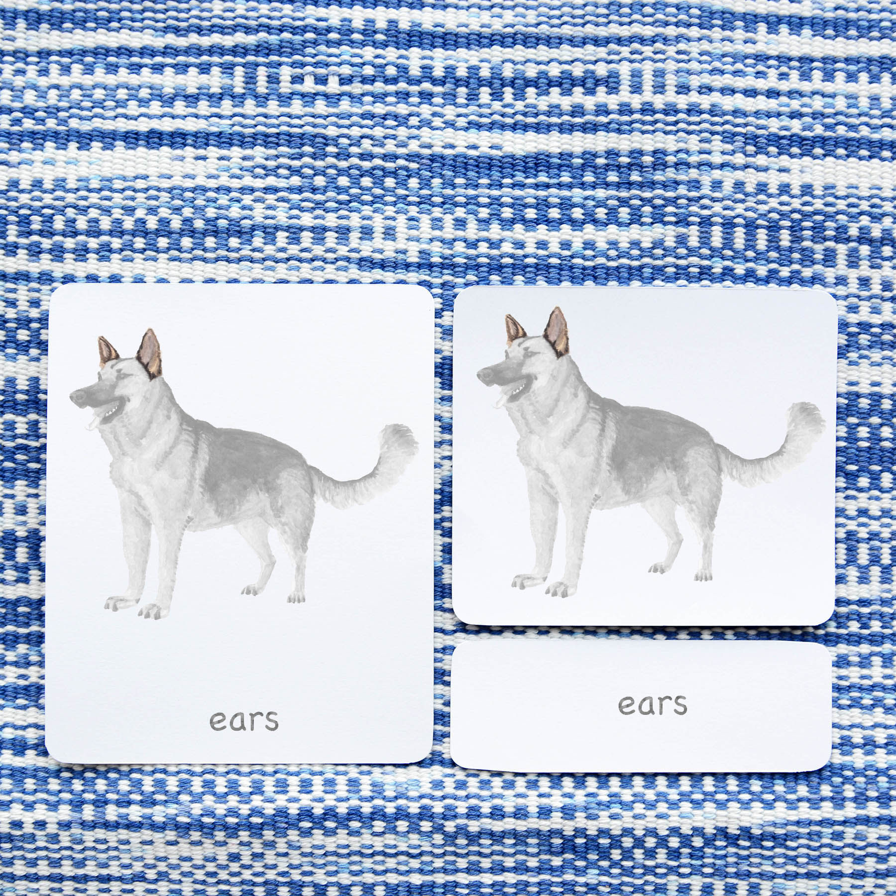 montessori three part cards, Montessori nomenclature cards, montessori printable PDFs, language cards, part of cards