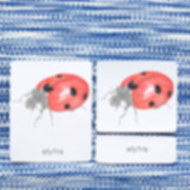 montessori three part cards, Montessori nomenclature cards, montessori printable PDFs, language cards, part of cards