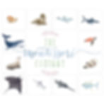 montessori nomenclature cards, nomenclature cards, montessori printable, montessori printable PDFs, montessori downloads